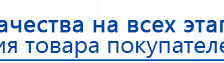 Электроды Скэнар -  двойной овал 55х90 мм купить в Туапсе, Электроды Скэнар купить в Туапсе, Скэнар официальный сайт - denasvertebra.ru